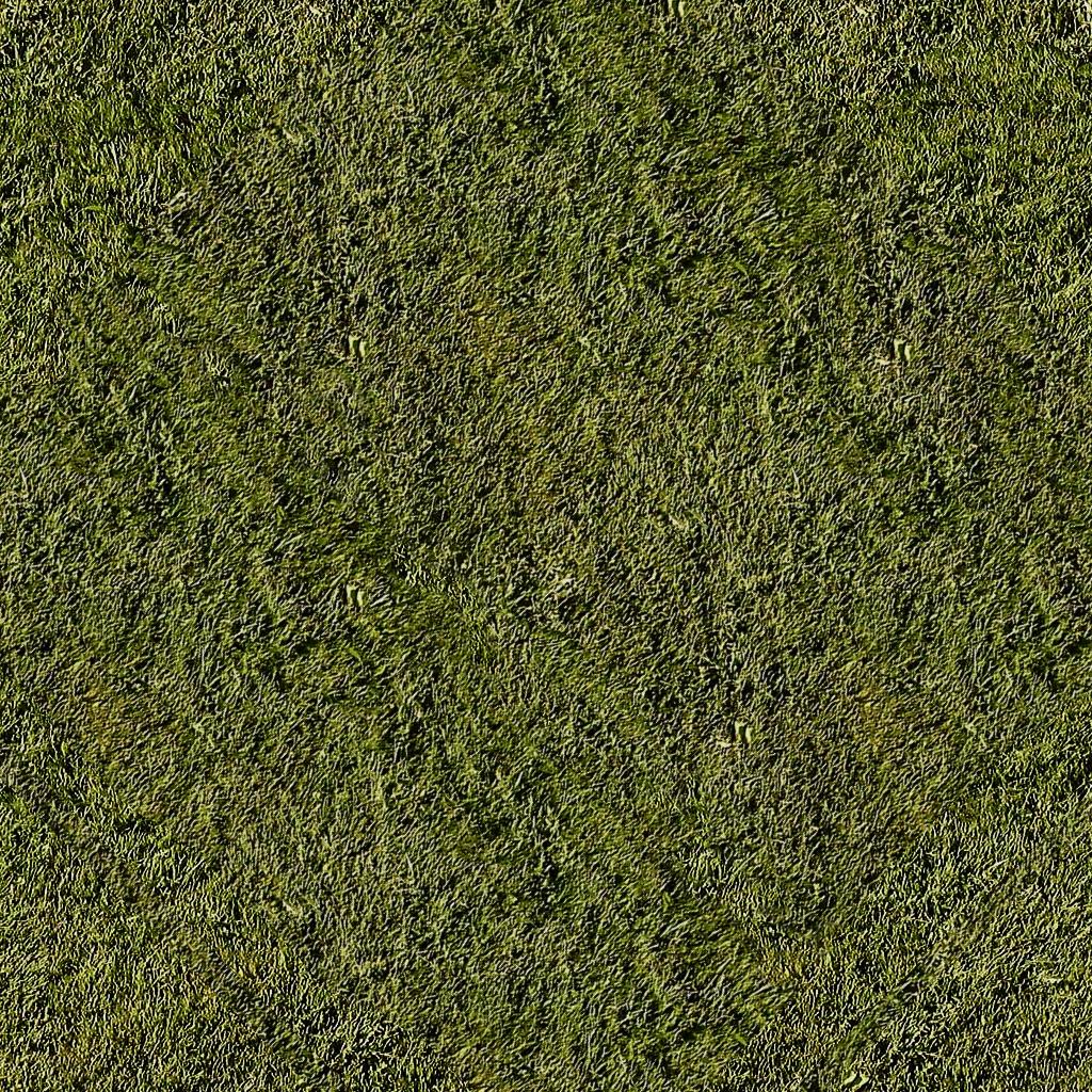 grass.jpg